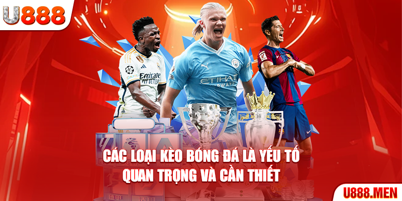 Các loại kèo bóng đá là yếu tố quan trọng và cần thiết