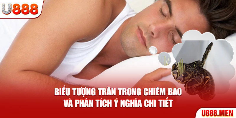 Biểu tượng trăn trong chiêm bao và phân tích ý nghĩa chi tiết