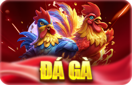đá gà